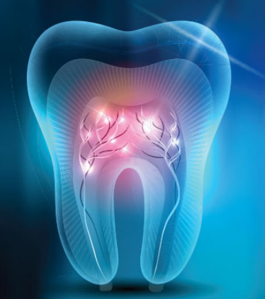 牙髓間充質干細胞